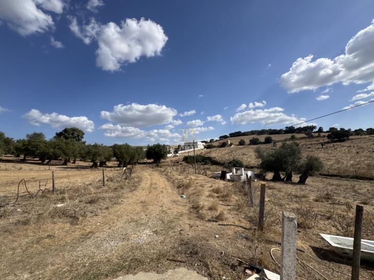 herdade-venda-monte-mor-o-novo-1097137