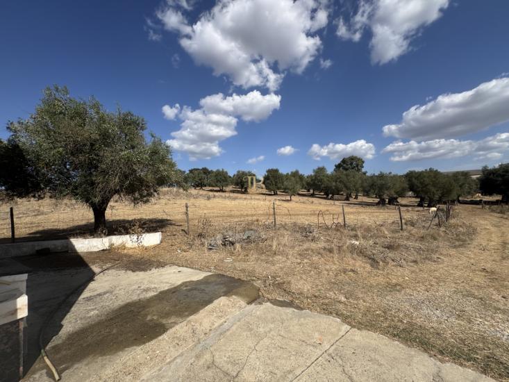 herdade-venda-monte-mor-o-novo-1097138