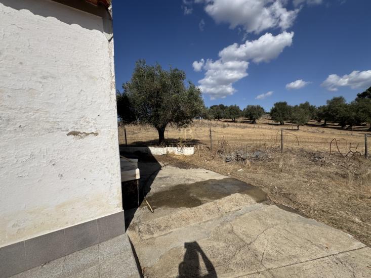 herdade-venda-monte-mor-o-novo-1097139