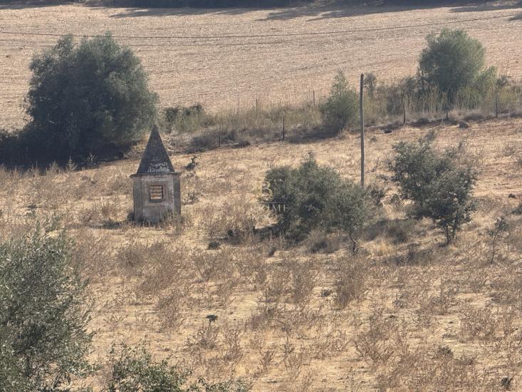 herdade-venda-monte-mor-o-novo-1097148