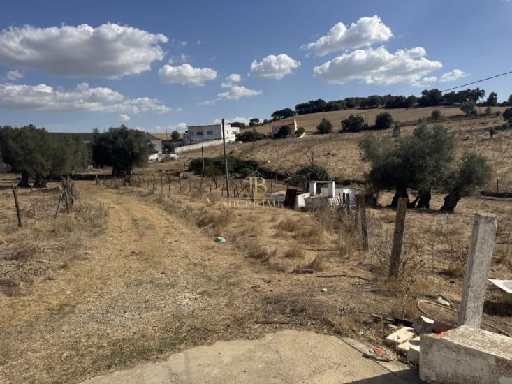 herdade-venda-monte-mor-o-novo-1097157