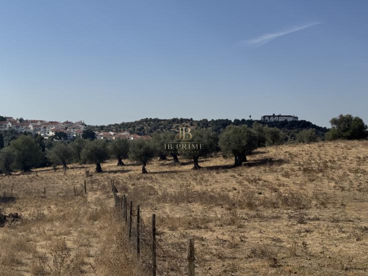 herdade-venda-monte-mor-o-novo-1097158