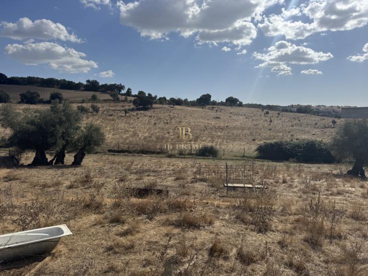 herdade-venda-monte-mor-o-novo-1097160